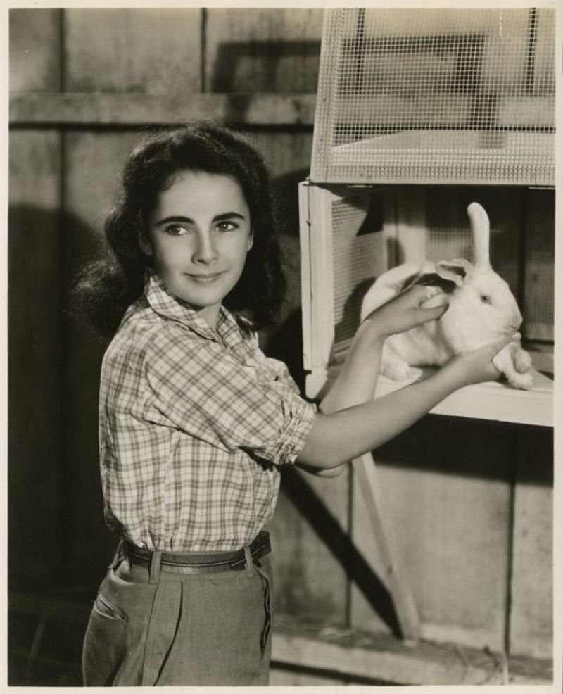 Belas fotos da adolescente Elizabeth Taylor durante as filmagens de 'A Mocidade  Assim Mesmo' de 1944 05