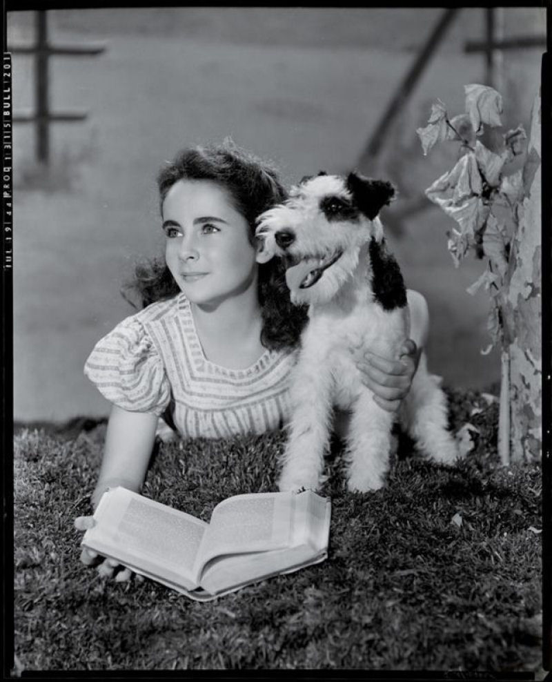Belas fotos da adolescente Elizabeth Taylor durante as filmagens de 'A Mocidade  Assim Mesmo' de 1944 08