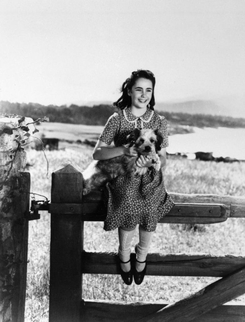 Belas fotos da adolescente Elizabeth Taylor durante as filmagens de 'A Mocidade  Assim Mesmo' de 1944 21