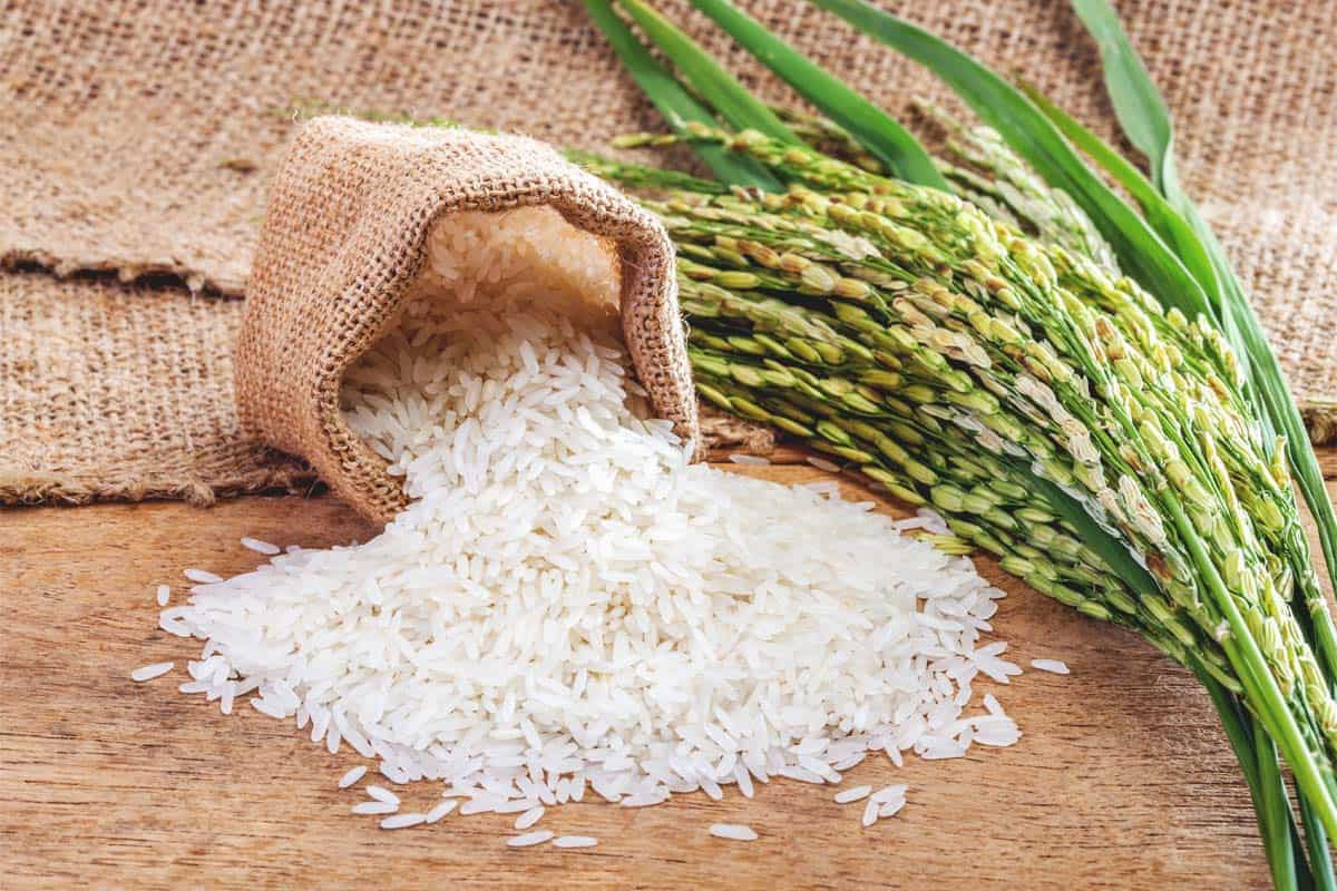 O que precisamos saber sobre os impactos ambientais da produo de arroz