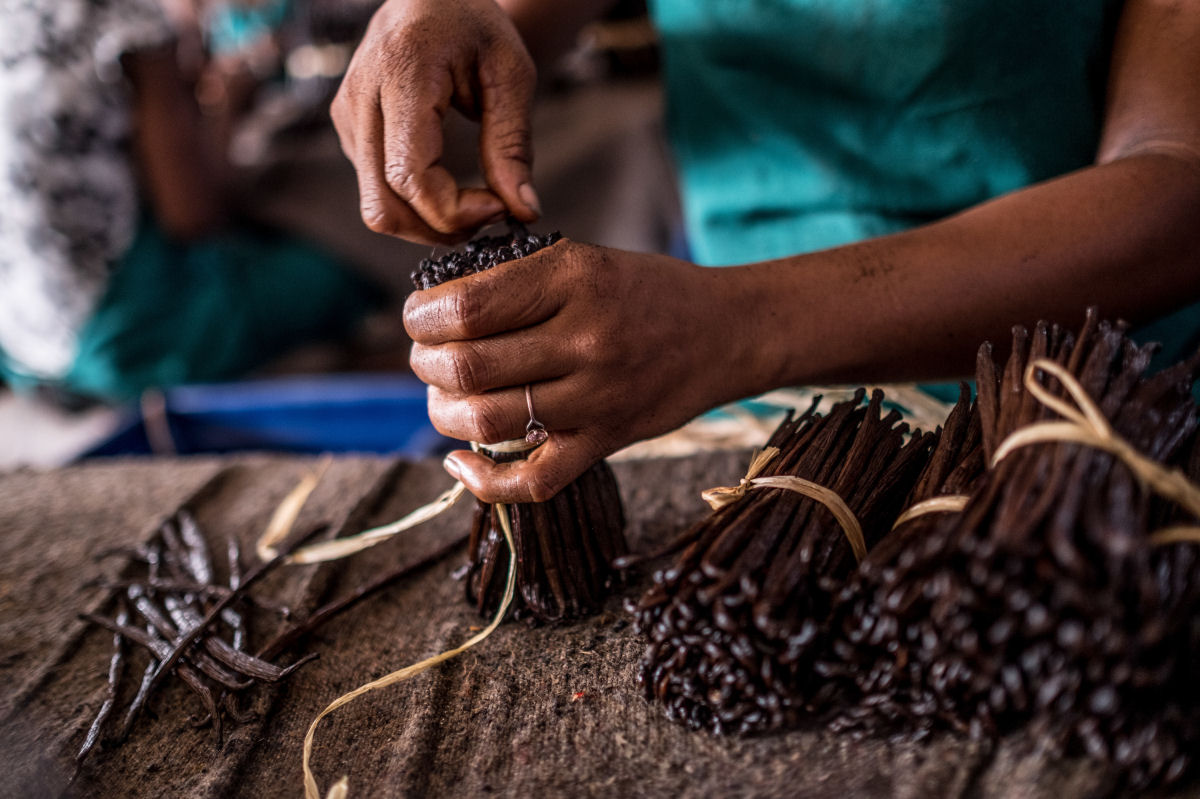 Por que os agricultores de baunilha continuam a ser roubados e explorados na África?