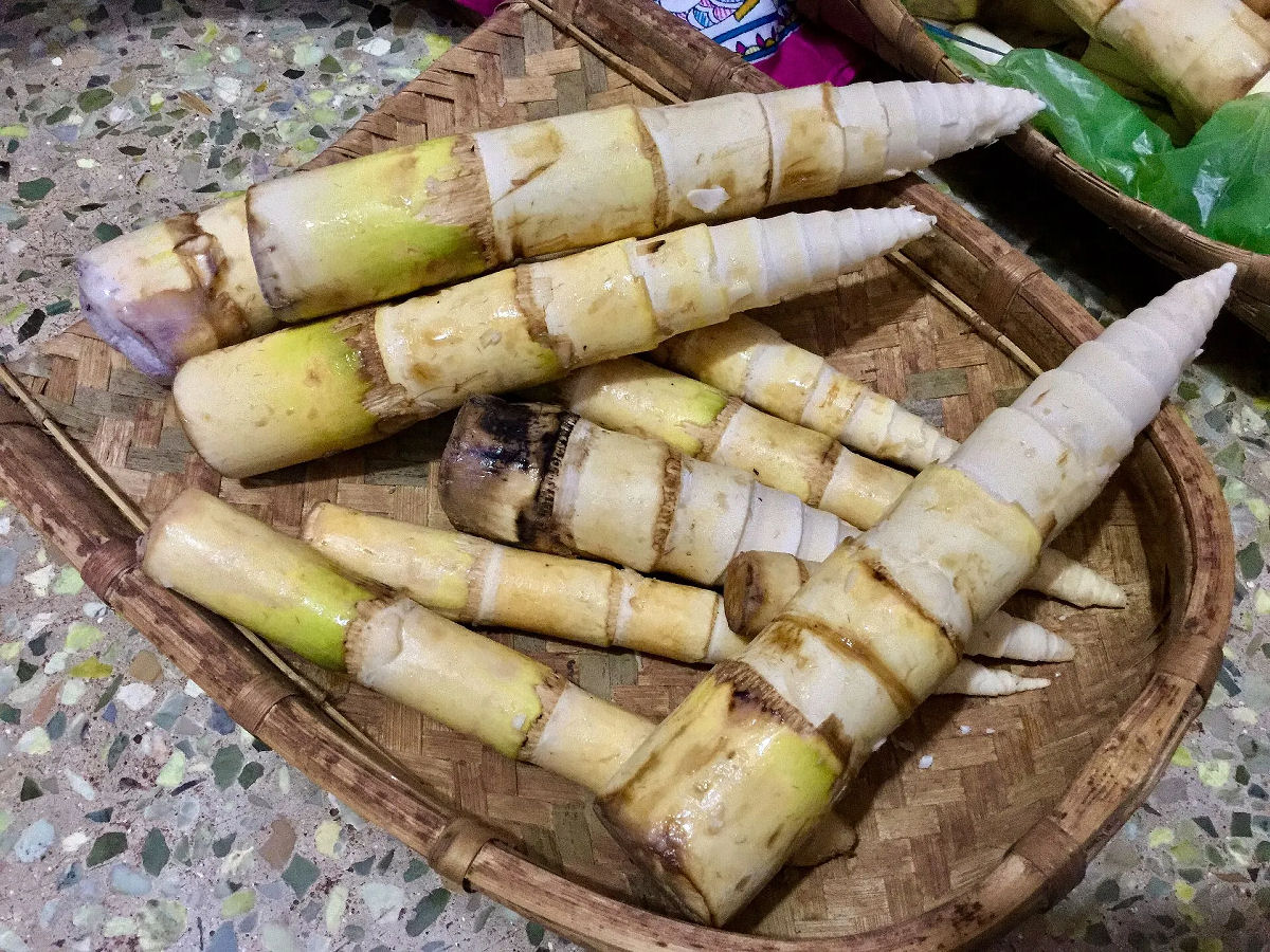 O bambu é realmente um superalimento secreto?