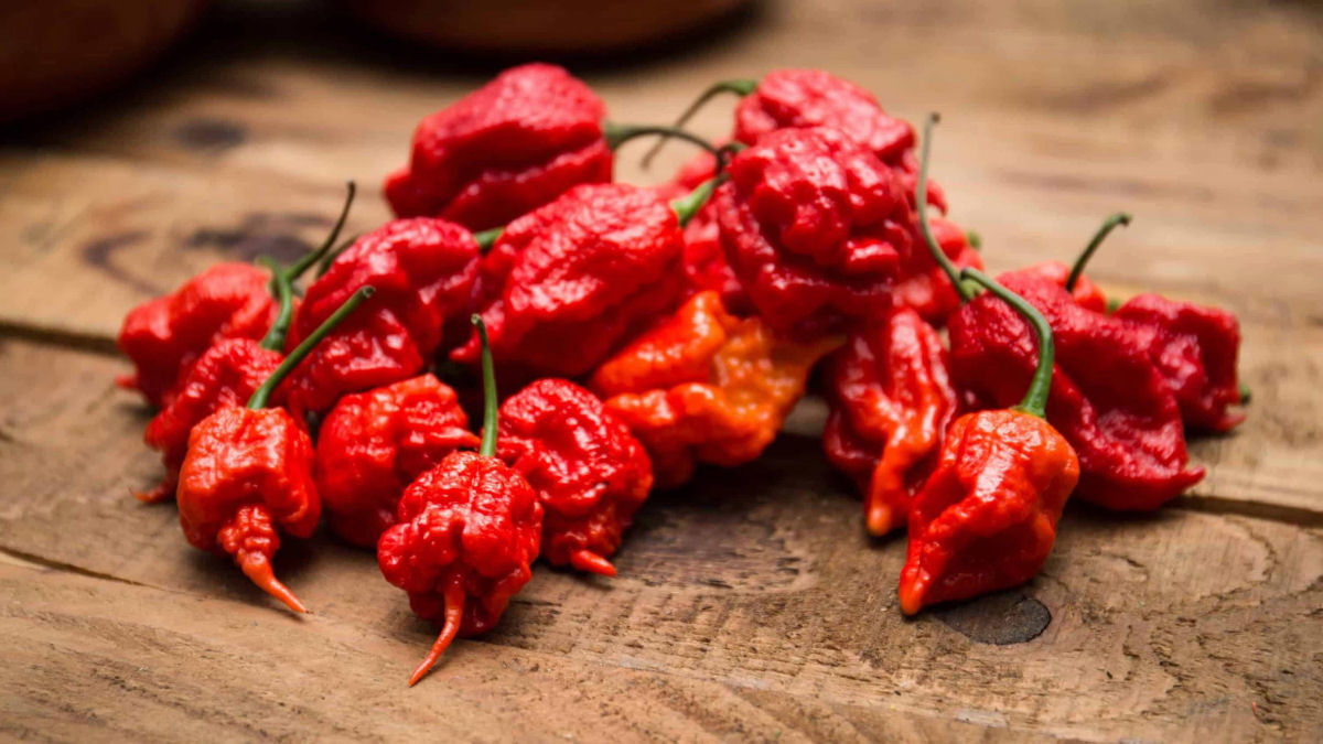 Cincia picante: por que sentimos calor ao comer pimenta