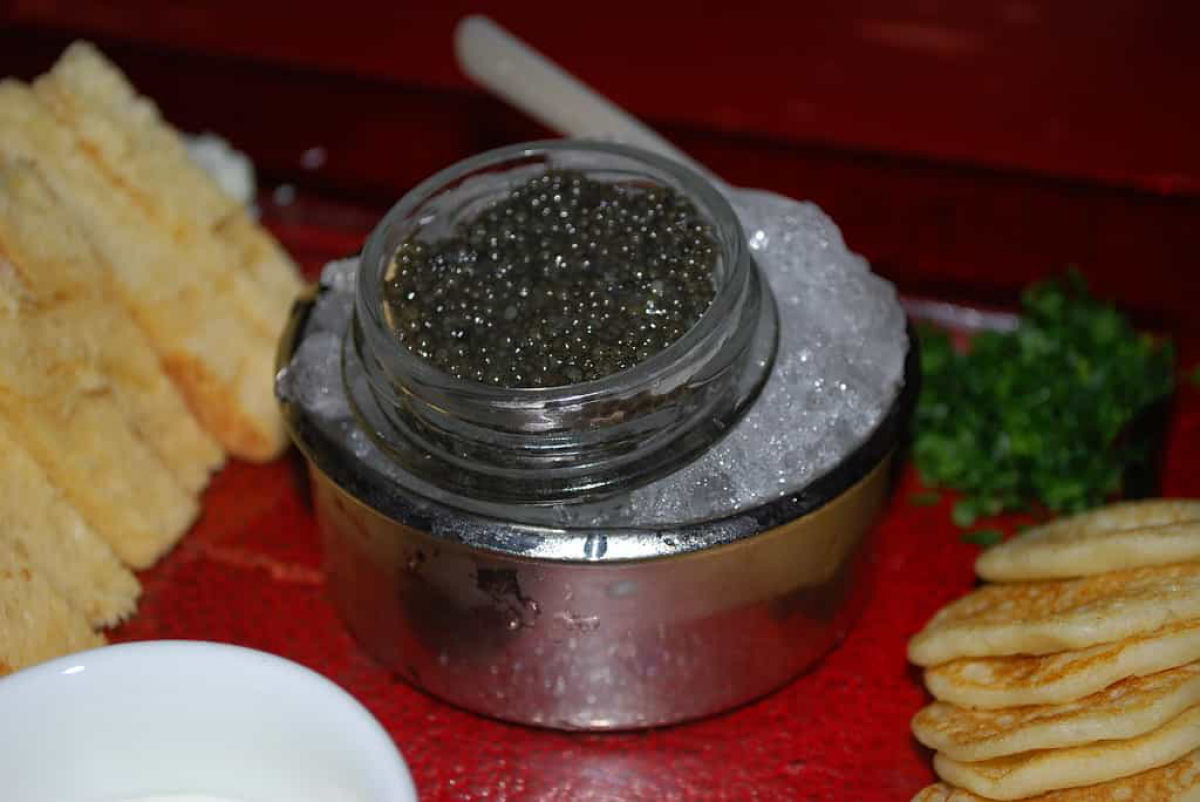 Descubra os principais motivos pelos quais o caviar é tão caro