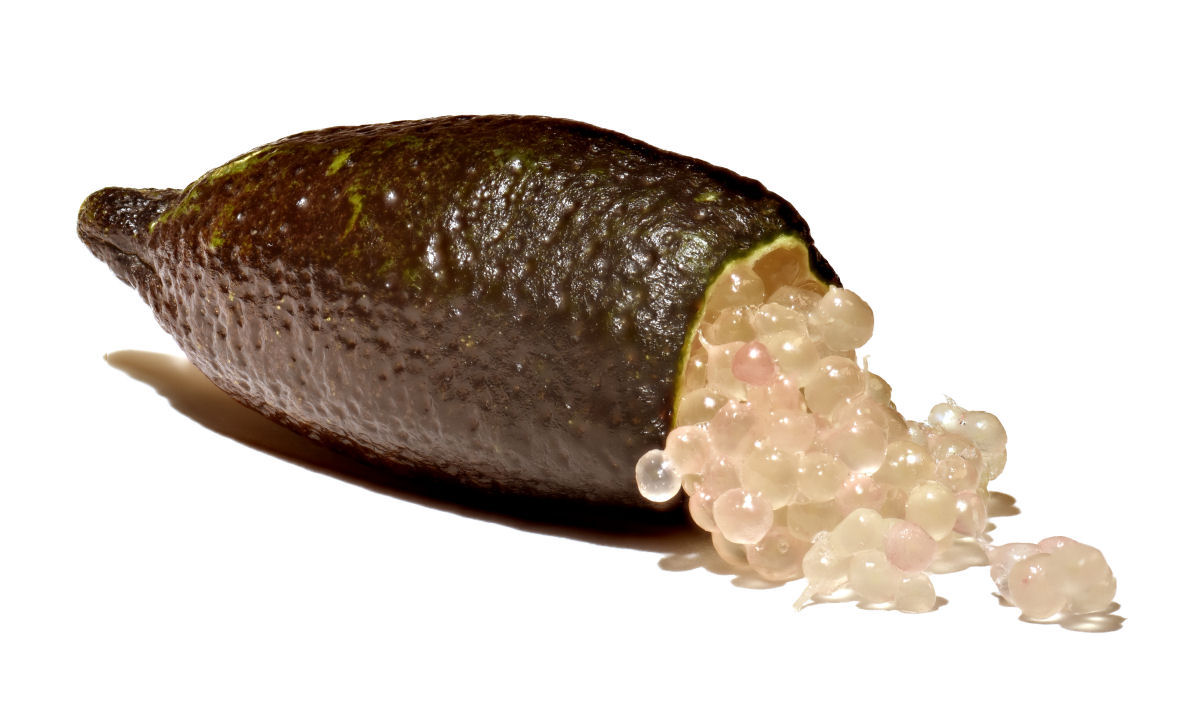 Caviar-Lima, o raro e super caro caviar cítrico australiano