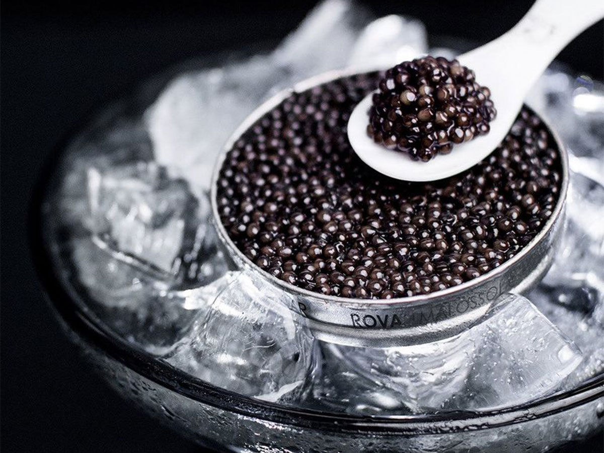 Como o primeiro caviar da frica conquistou restaurantes luxuosos na Europa