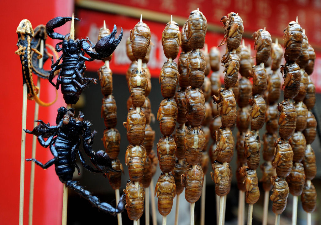 China Gourmet: O potencial alimentício dos insetos 01