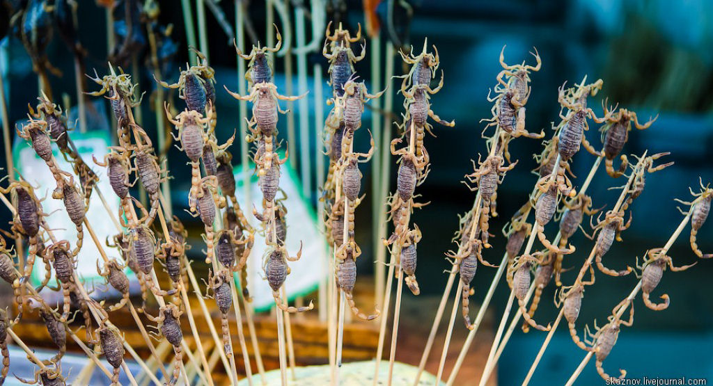 China Gourmet: O potencial alimentício dos insetos 04