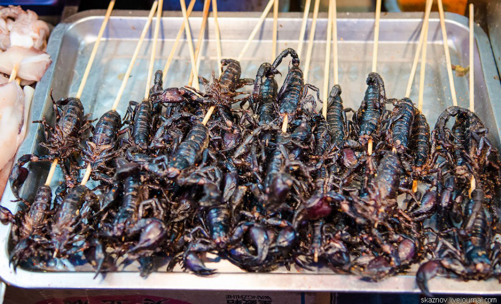 China Gourmet: O potencial alimentício dos insetos 05