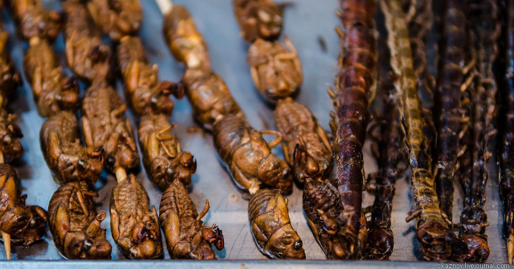 China Gourmet: O potencial alimentício dos insetos 16
