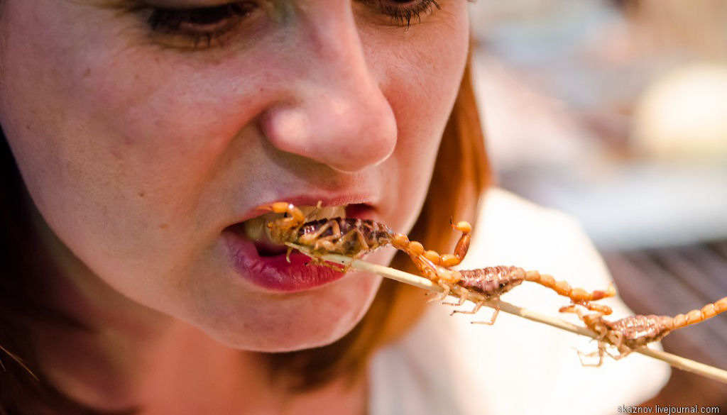 China Gourmet: O potencial alimentício dos insetos 18
