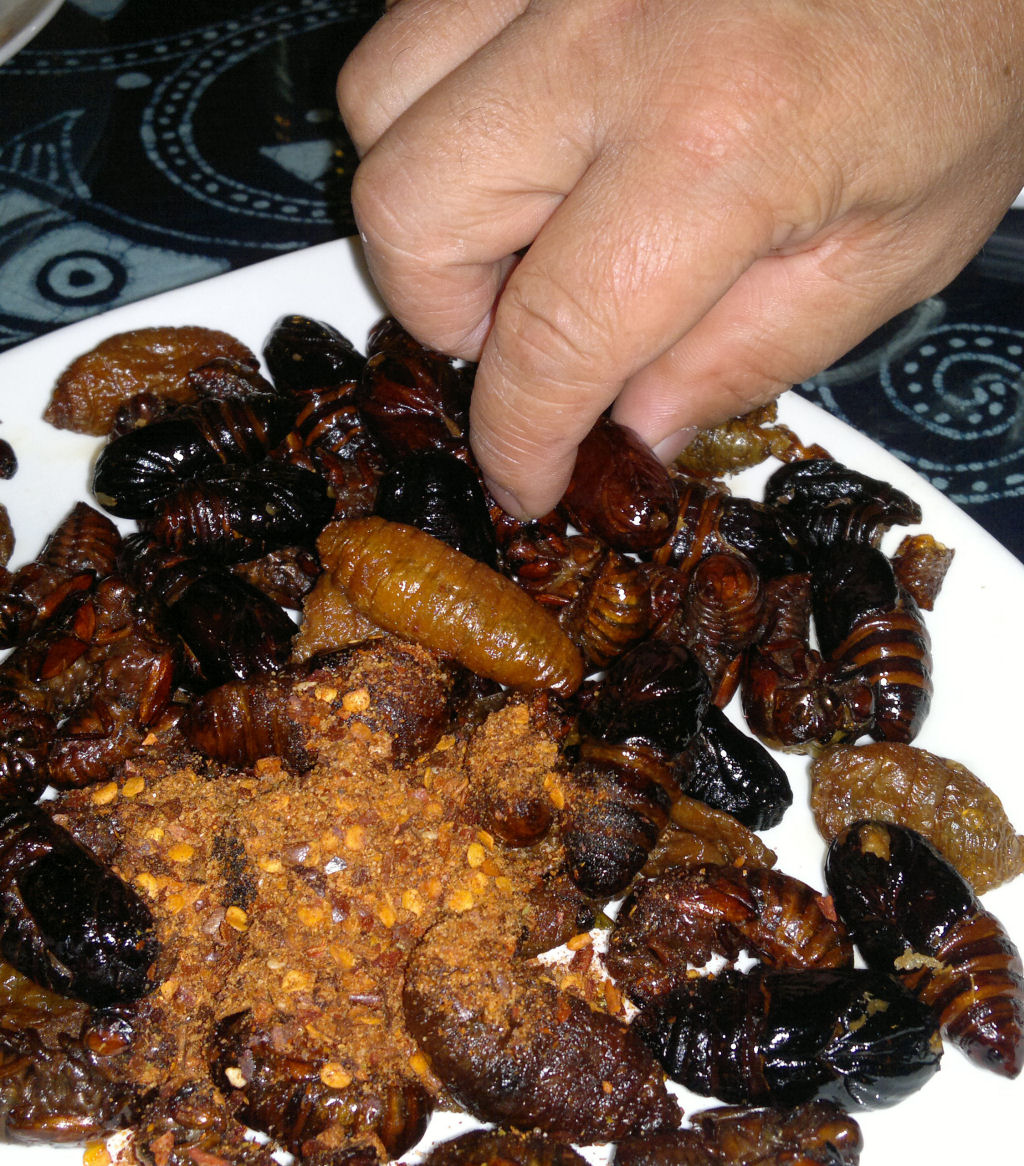 China Gourmet: O potencial alimentício dos insetos 37