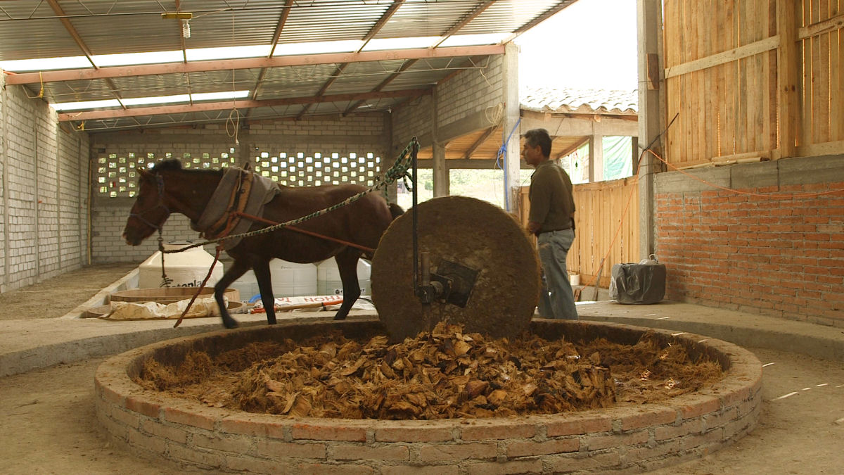 Como  feito o mezcal mexicano?