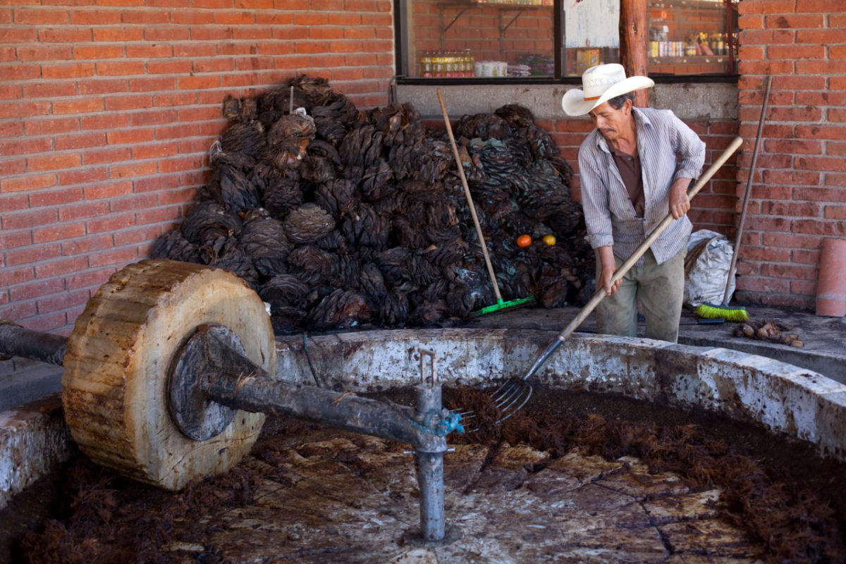 Como  feito o mezcal mexicano?