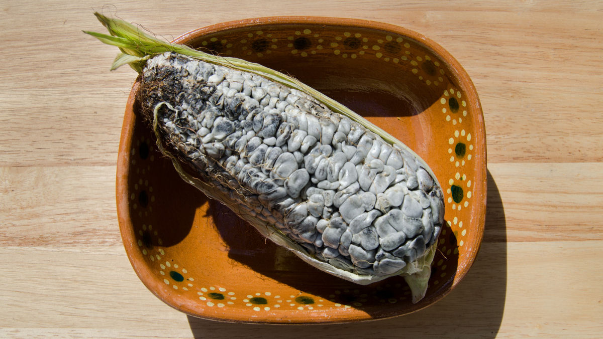 Por que o huitlacoche, o 'milho estragado' mexicano,  to caro?