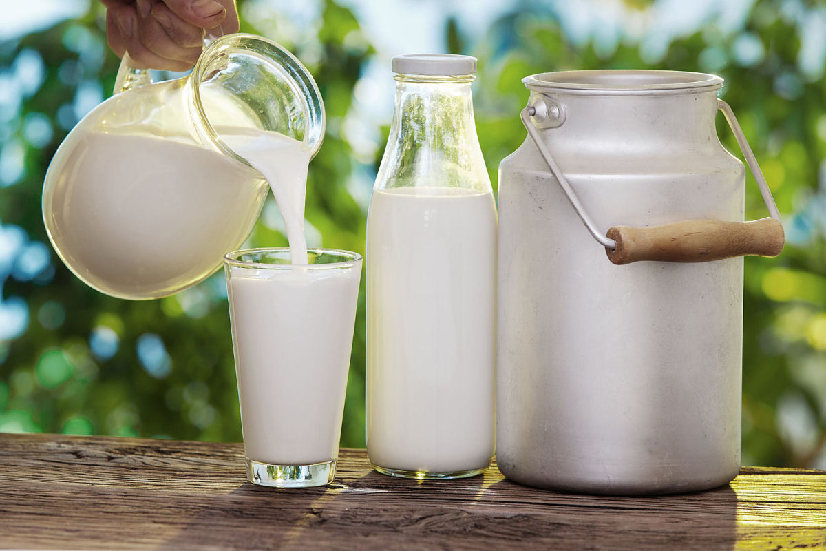 O leite cru est por trs de 96 de cada 100 intoxicaes por lcteos nos Estados Unidos