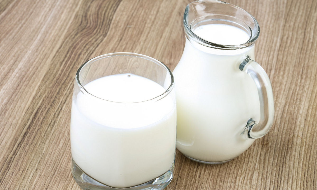 Leite: superalimento ou veneno?  necessrio tomar leite para manter uma boa sade