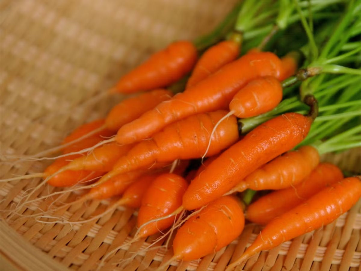 Como a mini-cenoura  produzida?