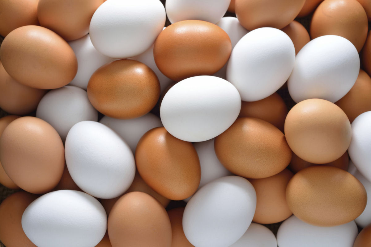 Por que nos Estados Unidos refrigeram os ovos, mas na Europa e América Latina não