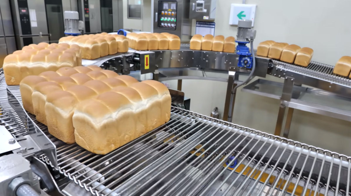 Veja como funciona uma linha de produção em massa automatizada de pão de forma