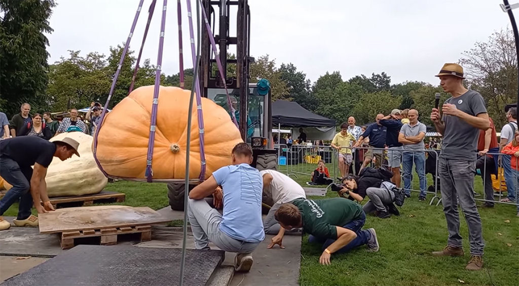 Time-lapse da semente à abóbora gigante de 635,5 kg