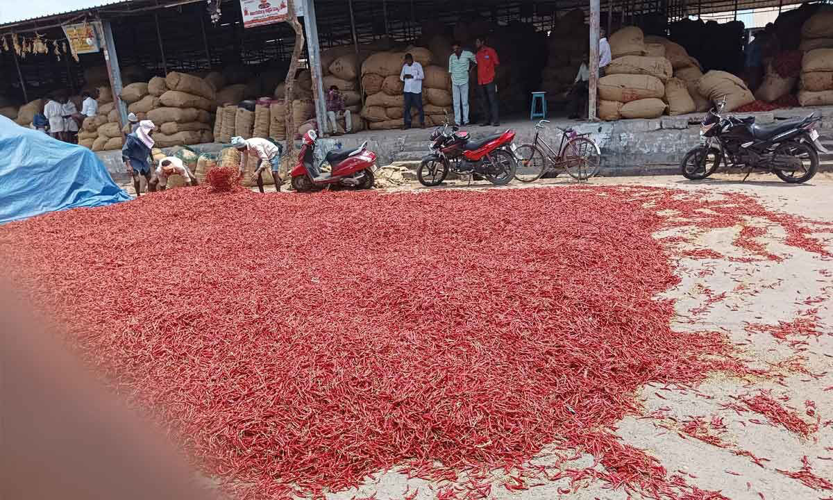 Cidade indiana vende 3.500 toneladas de pimentas todos os dias
