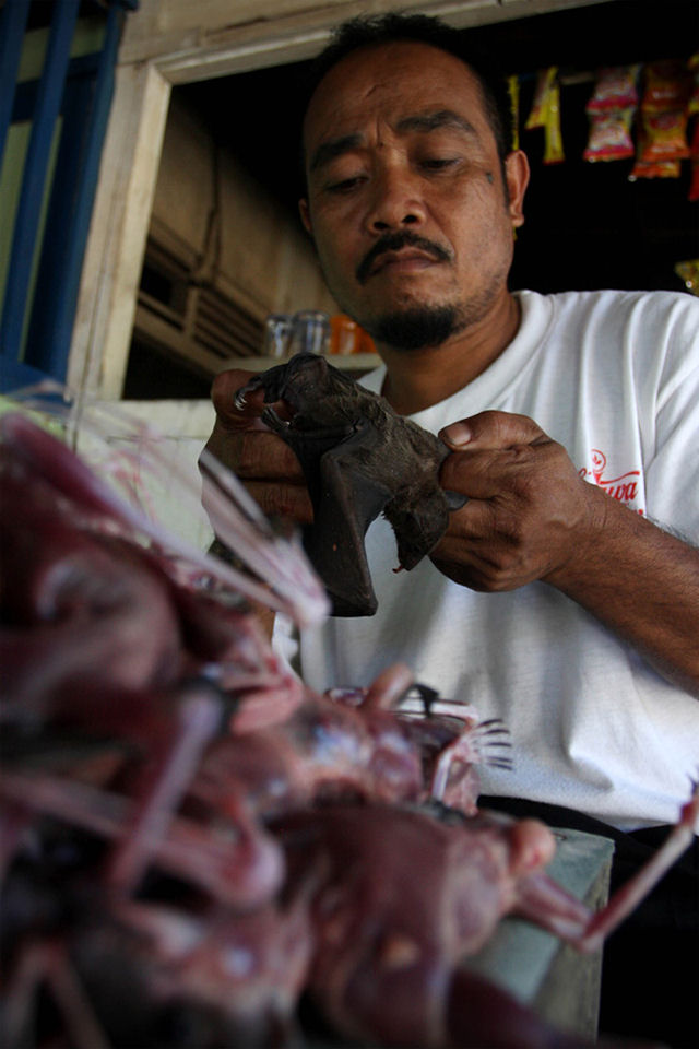 Preparando uma pratada de morcegos na Indonsia 21