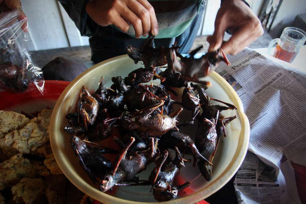 Preparando uma pratada de morcegos na Indonsia 33
