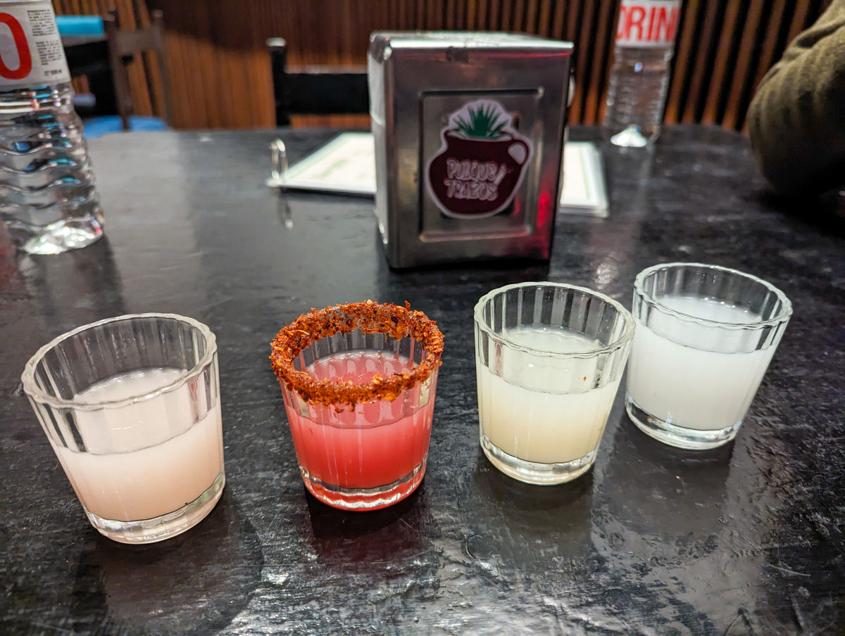 O pulque mexicano pode ser a prxima tequila ou mezcal?