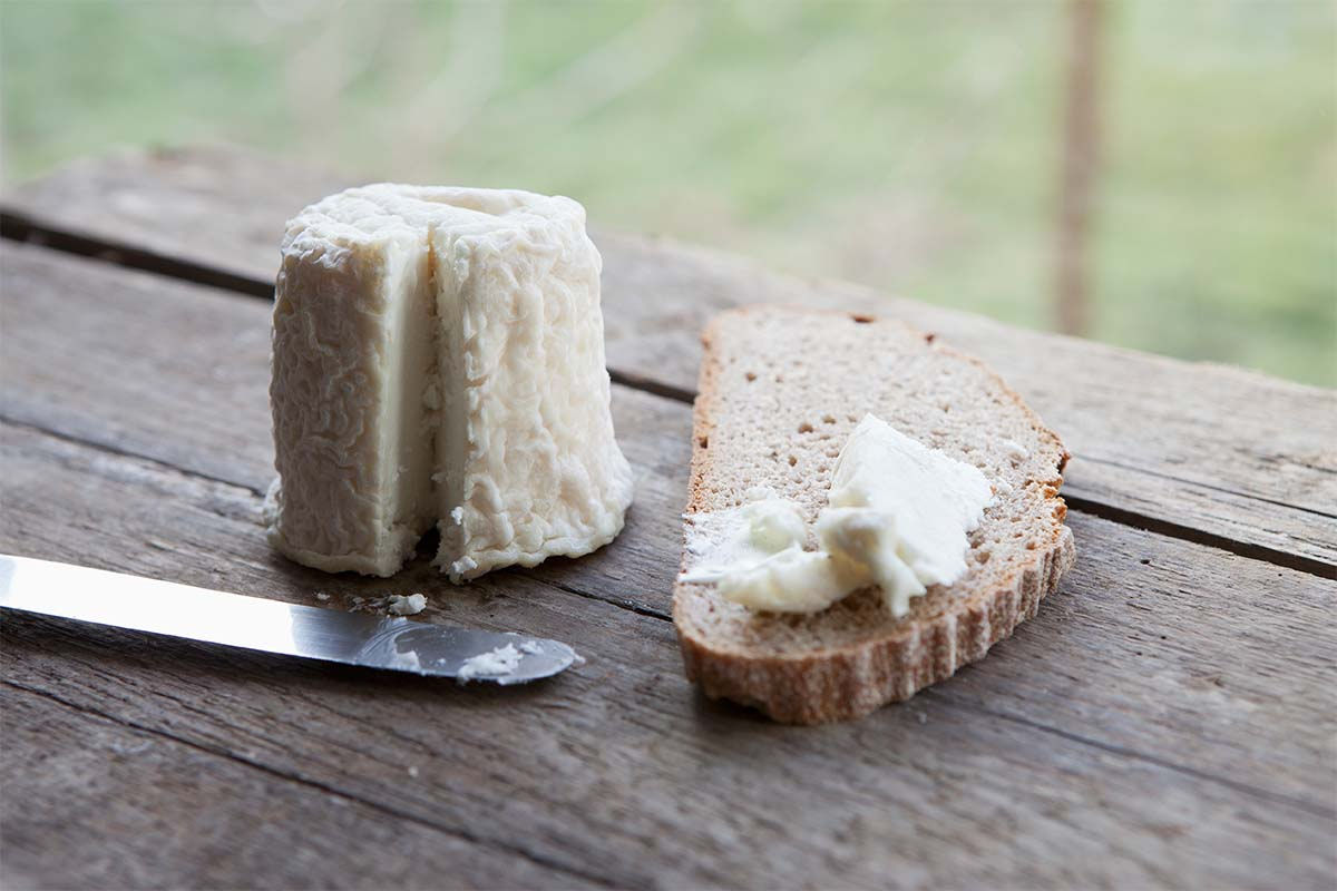 Por que o queijo srvio de mula  to caro?