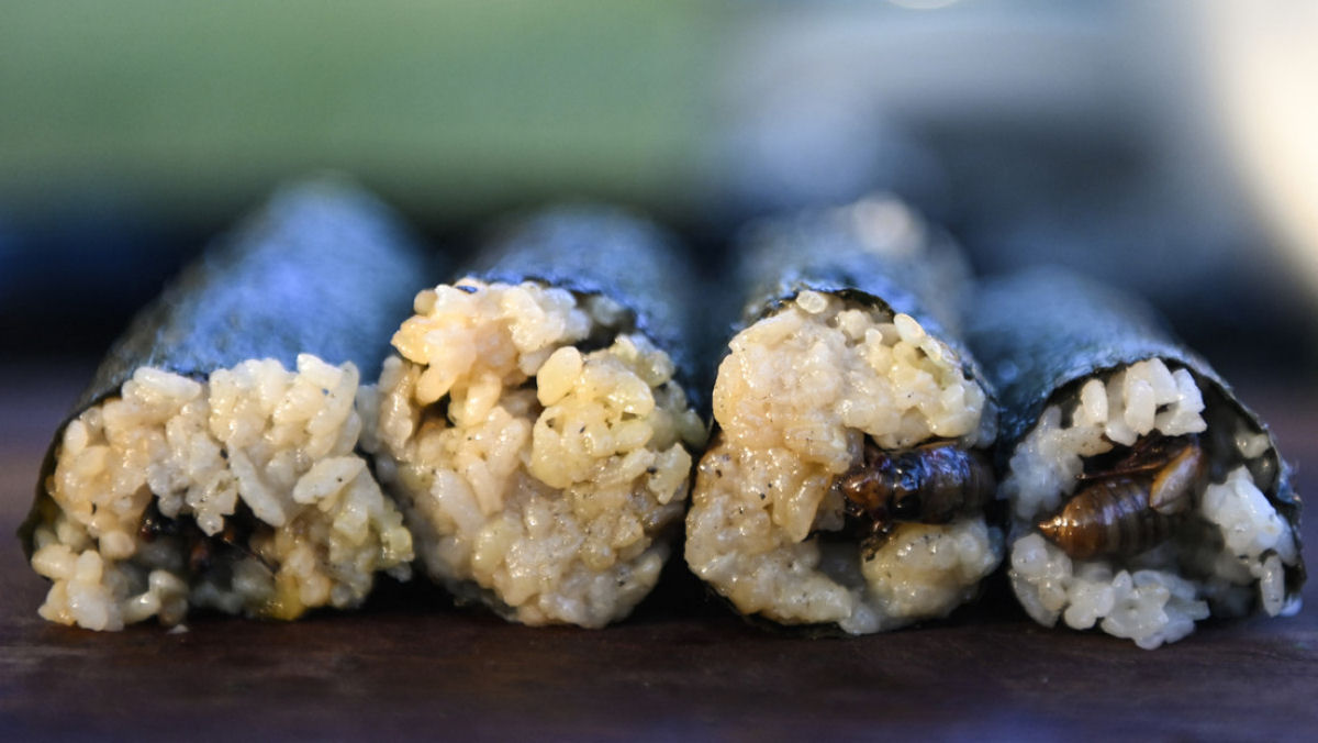 Chef aproveita a invasão de cigarras nos EUA para preparar um 'sushi' e repartí-lo de forma gratuita