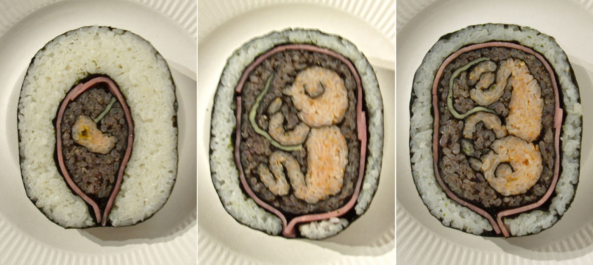 A adorvel arte no sushi enroladinho de Takayo Kiyota 01