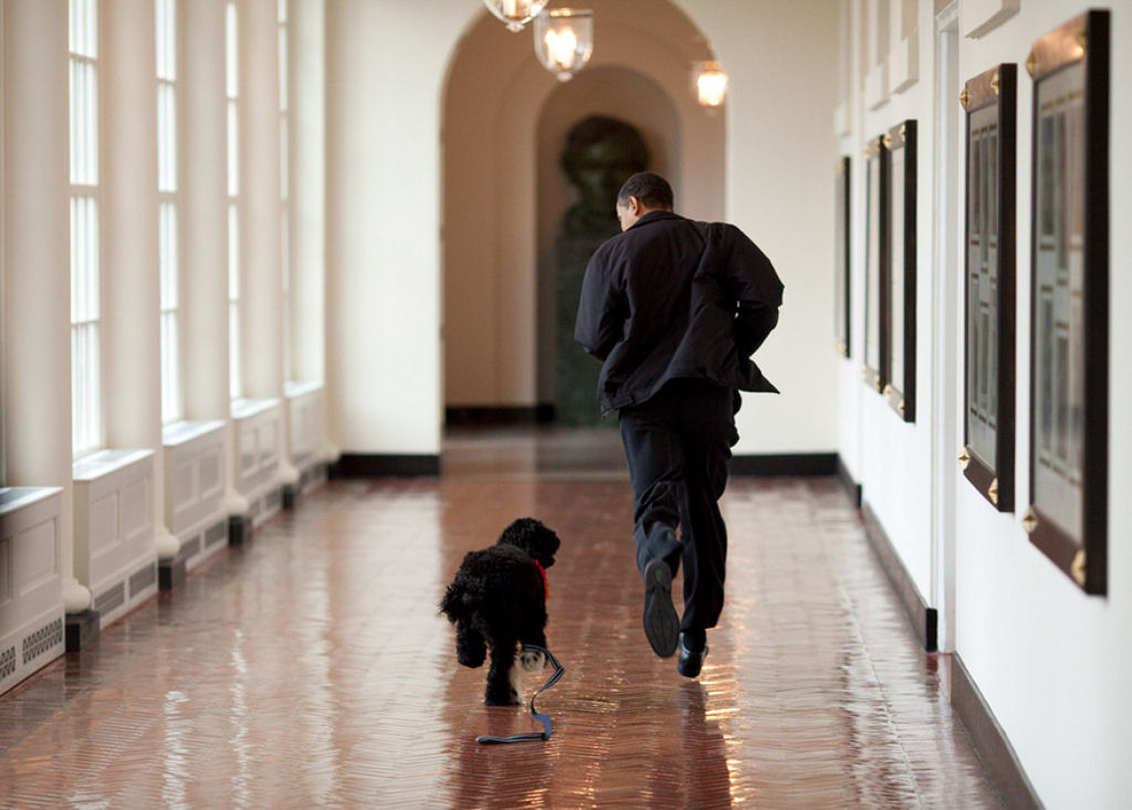 Fotgrafo de Obama: 2 milhes de fotos em 8 anos 22