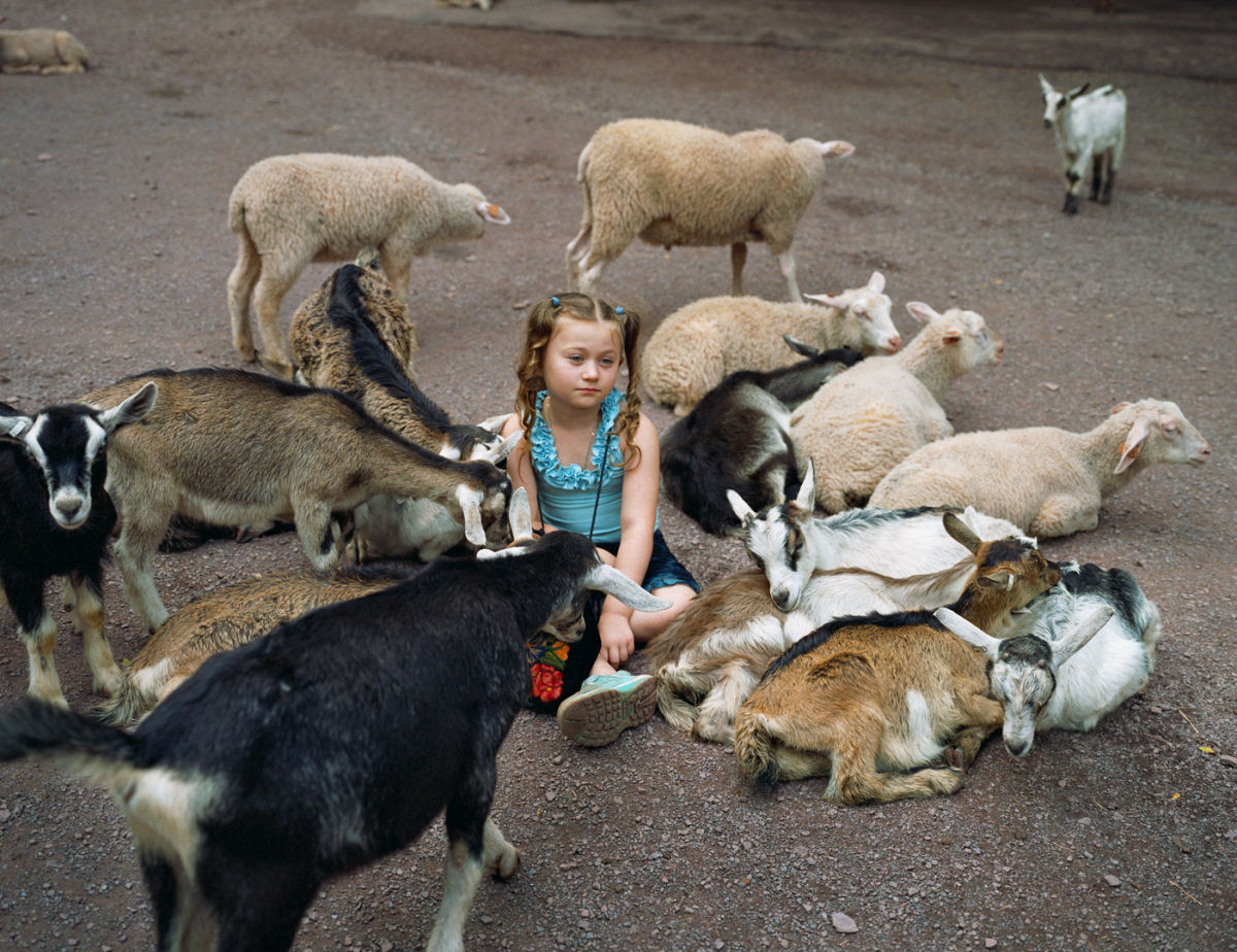 O Mundo de Amelia - A menina que cresceu com os animais e os considera seus irmos 11