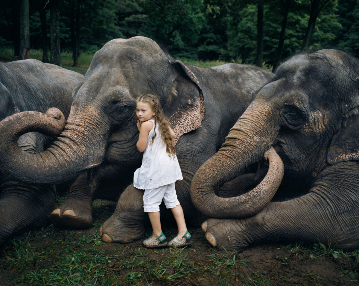 O Mundo de Amelia - A menina que cresceu com os animais e os considera seus irmos 13
