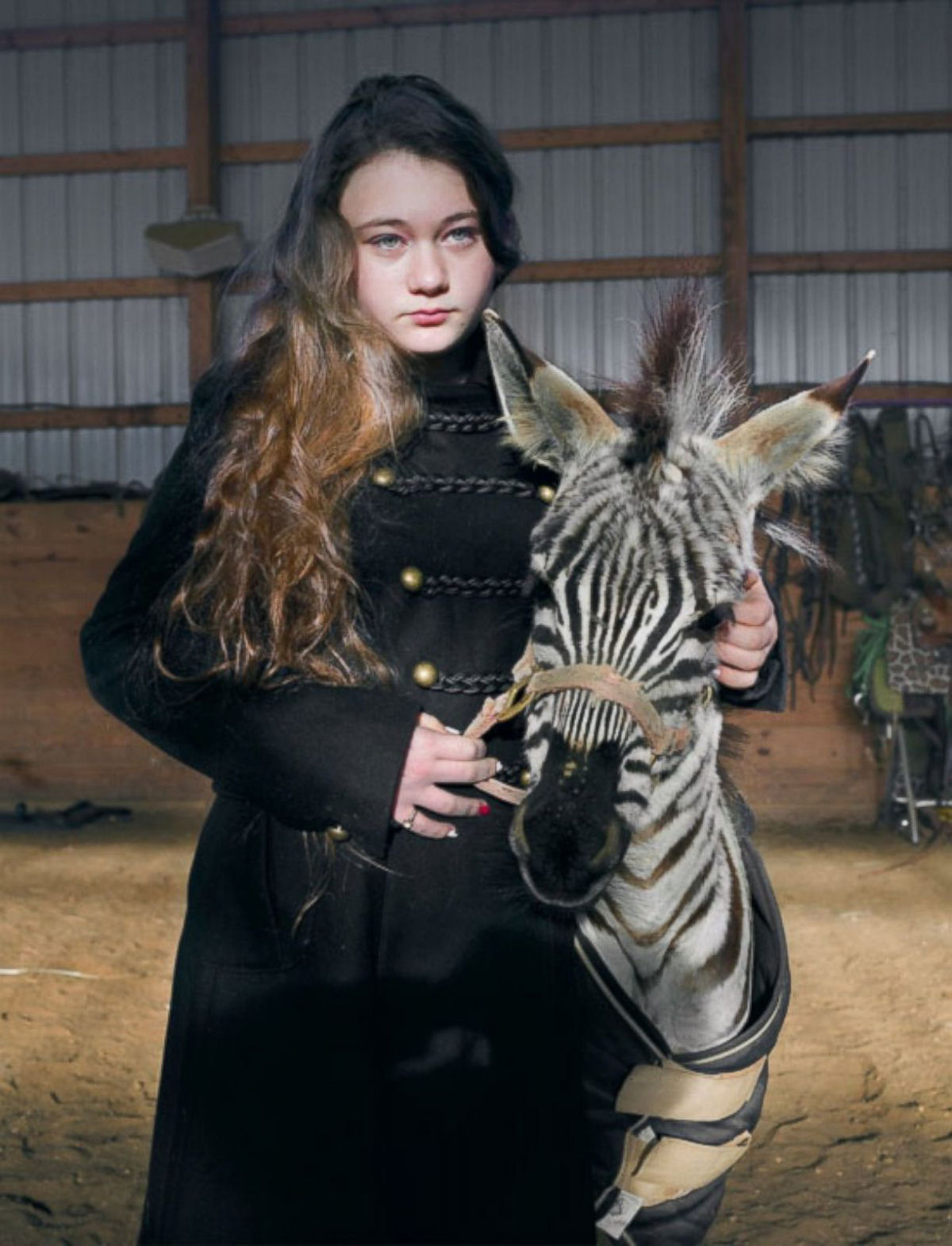 O Mundo de Amelia - A menina que cresceu com os animais e os considera seus irmos 26