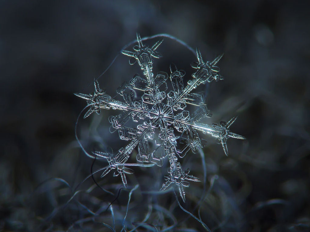 A beleza única dos flocos de neve revelada por um fotógrafo russo 02