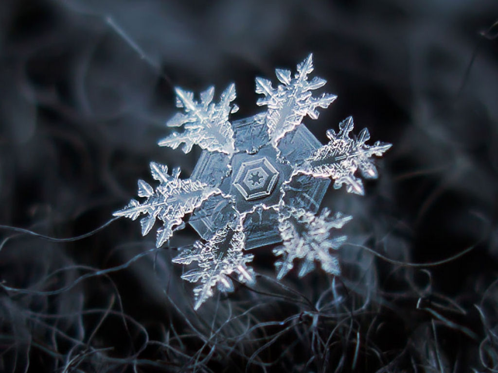 A beleza única dos flocos de neve revelada por um fotógrafo russo 04