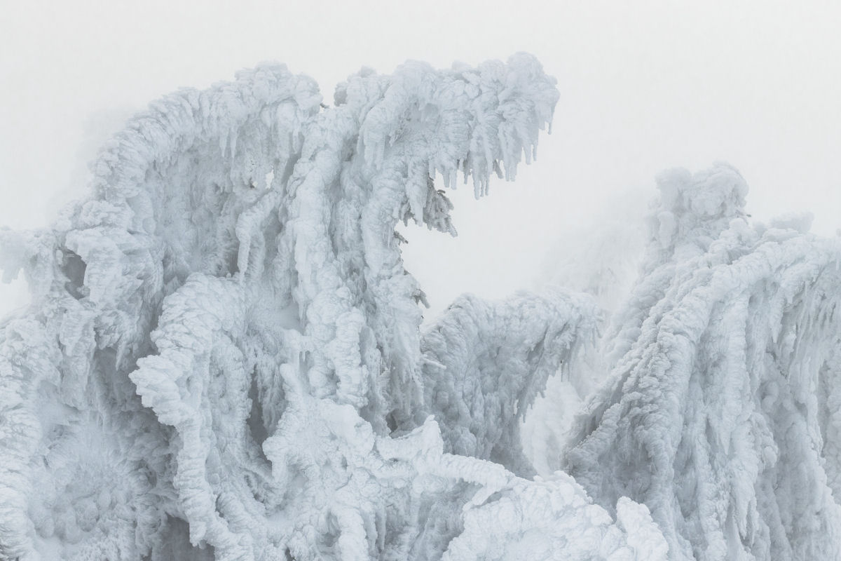 Formaes de gelo dramticas imitam criaturas sobrenaturais nas montanhas de Harz 03