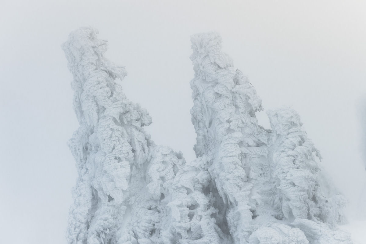 Formaes de gelo dramticas imitam criaturas sobrenaturais nas montanhas de Harz 04