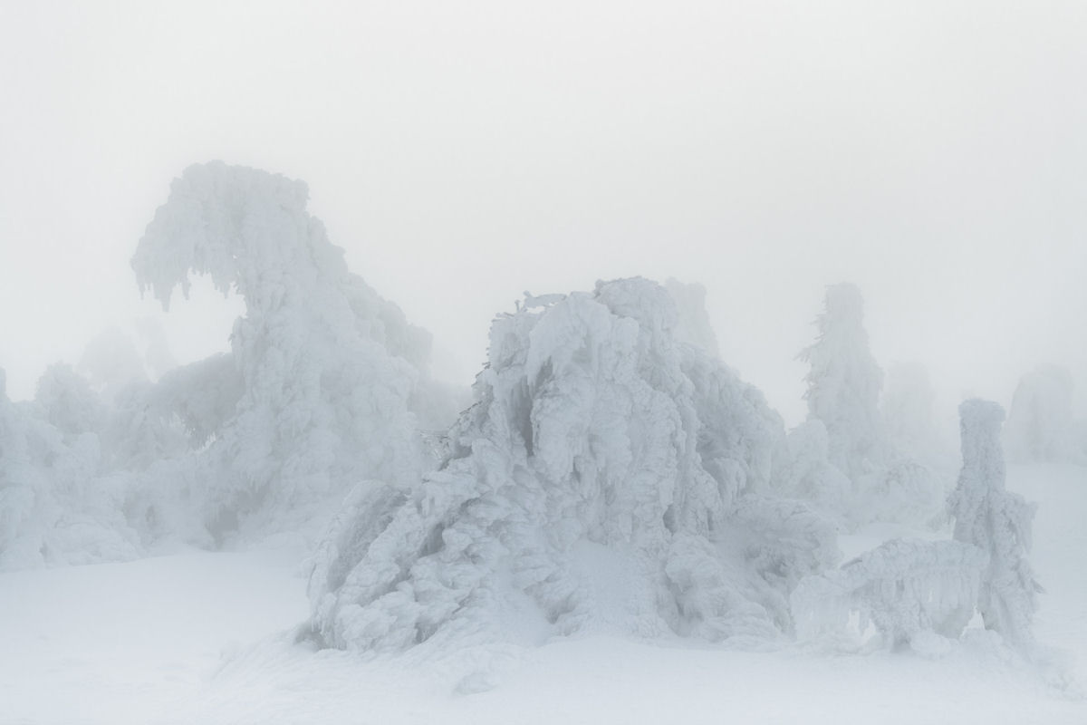 Formaes de gelo dramticas imitam criaturas sobrenaturais nas montanhas de Harz 07
