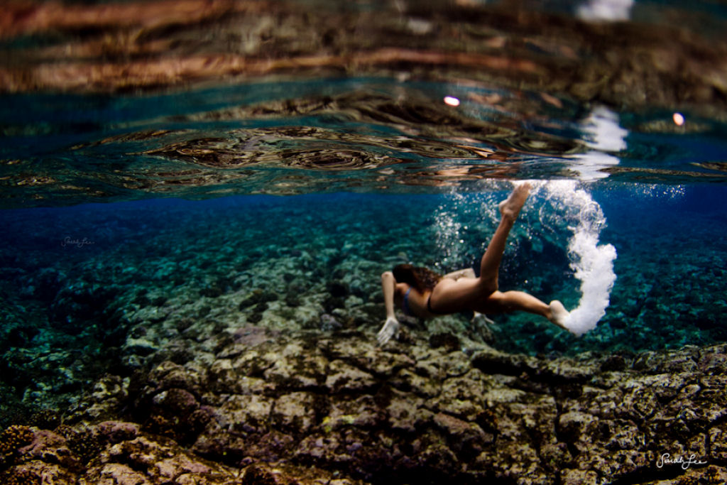 Épica fotografia subaquática por Sarah Lee 02