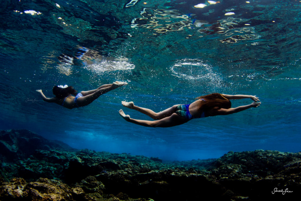 Épica fotografia subaquática por Sarah Lee 08