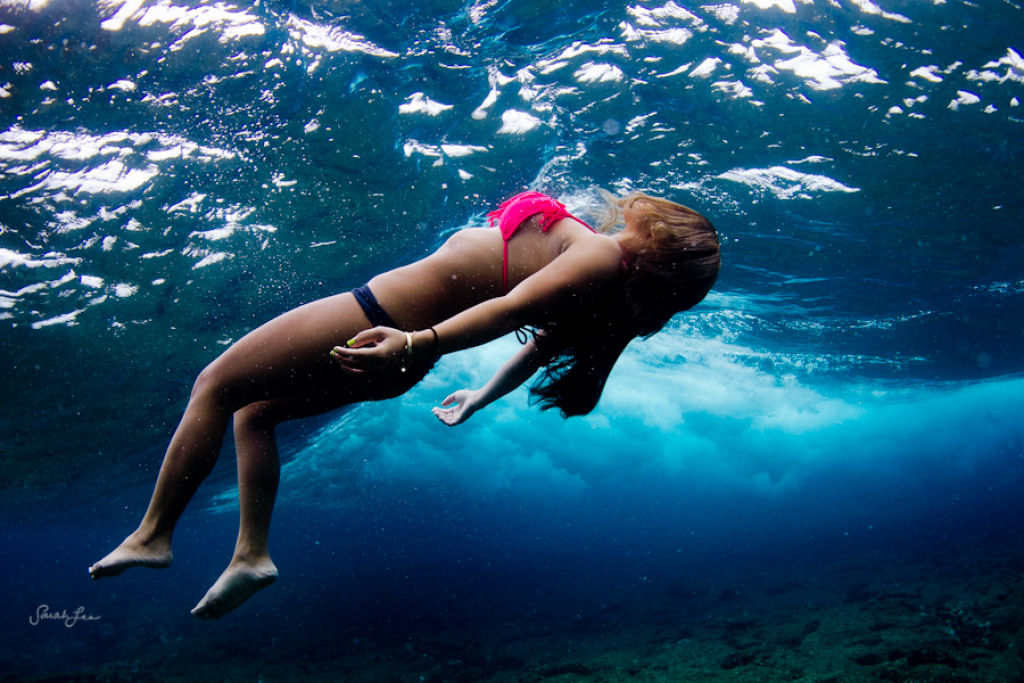 Épica fotografia subaquática por Sarah Lee 11