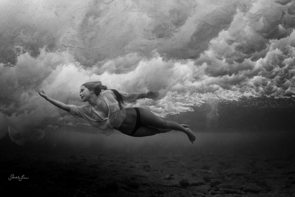 Épica fotografia subaquática por Sarah Lee 12