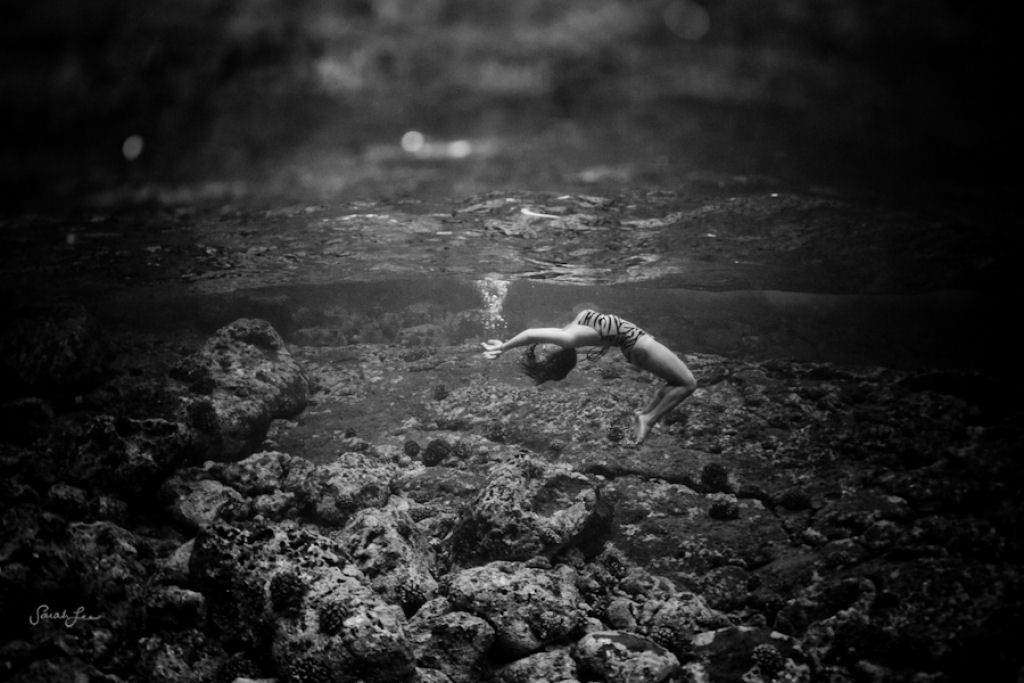 Épica fotografia subaquática por Sarah Lee 15