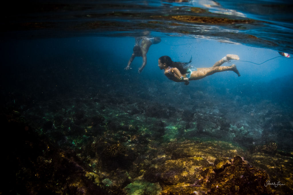 Épica fotografia subaquática por Sarah Lee 27