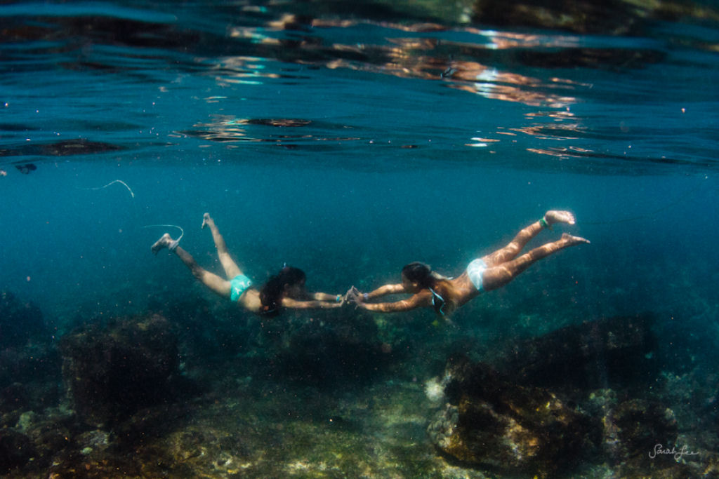 Épica fotografia subaquática por Sarah Lee 29