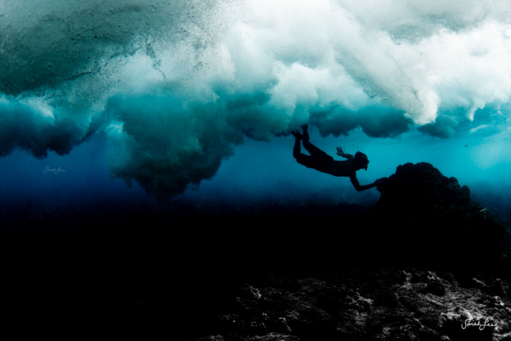Épica fotografia subaquática por Sarah Lee 35