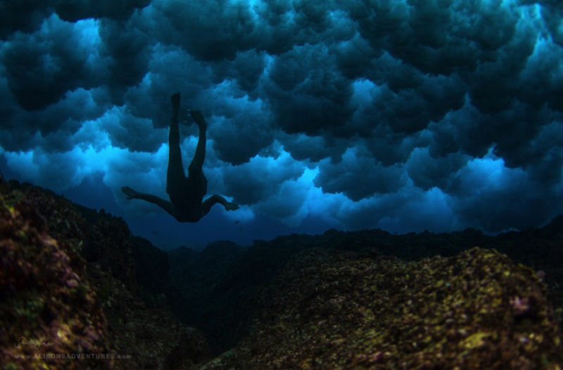 Épica fotografia subaquática por Sarah Lee 38
